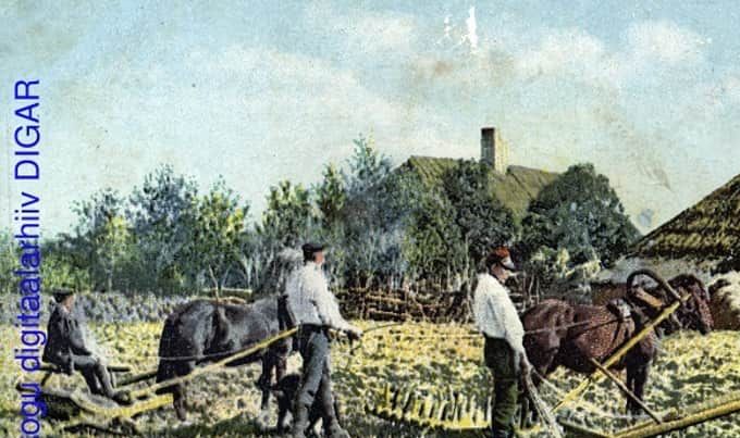 Virolaisia viljelijöitä väritetyssä postikortissa vuodelta 1900. Kuvan lähde on Viron kansalliskirjasto