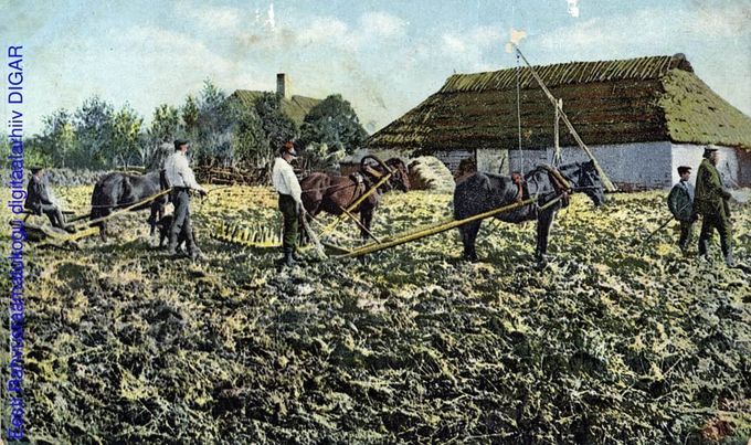 Virolaisia viljelijöitä väritetyssä postikortissa vuodelta 1900. Kuvan lähde on Viron kansalliskirjasto