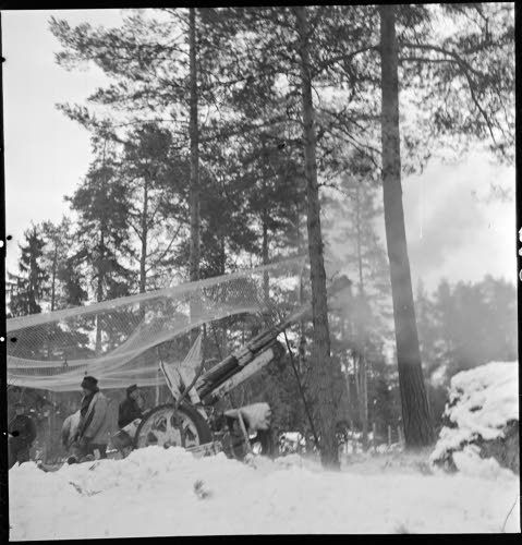 3. Tykistöä Viipurin Linnasaaressa. Viipuri 1940 (SA kuva)