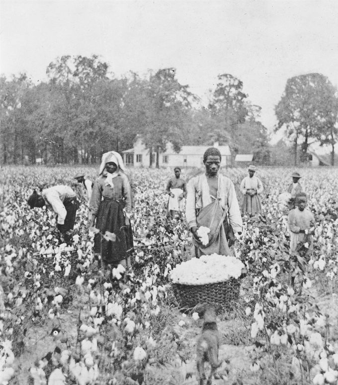 6. Orjia puuvillaa korjaamassa Georgiassa. Kuvan lähde on britannica.com.